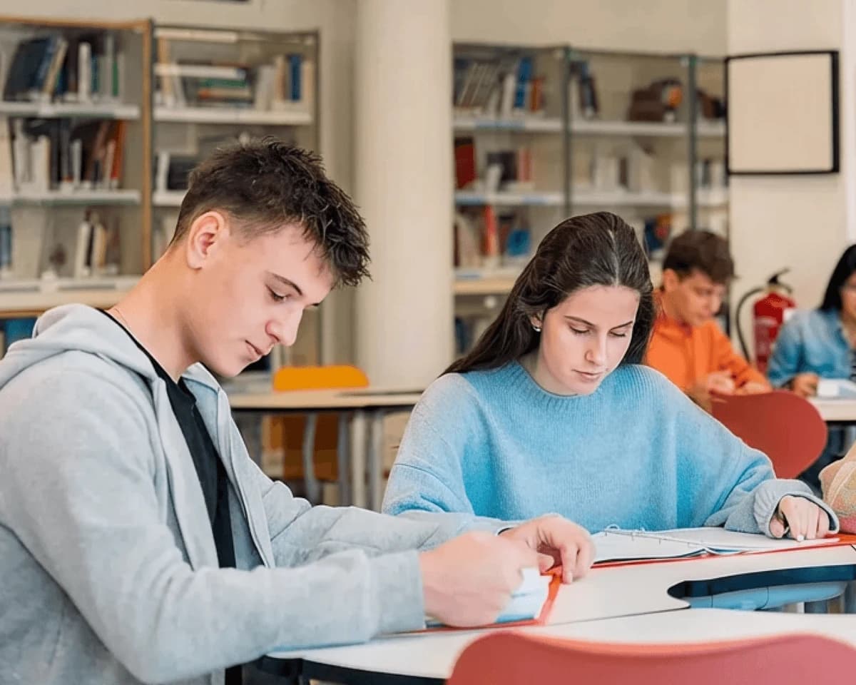 Solución para Educación